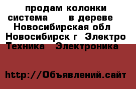 продам колонки система 5-1. в дереве. - Новосибирская обл., Новосибирск г. Электро-Техника » Электроника   